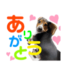 ウルくん第2弾（個別スタンプ：18）