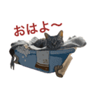 大福ってかわいい（個別スタンプ：2）