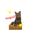大福ってかわいい（個別スタンプ：11）