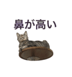 大福ってかわいい（個別スタンプ：26）
