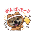 ポメラニアン観察日記シリーズ2（個別スタンプ：17）