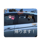 我が家みかんと時々長男(クレバー)（個別スタンプ：1）