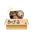 我が家みかんと時々長男(クレバー)（個別スタンプ：10）