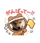 我が家みかんと時々長男(クレバー)（個別スタンプ：20）