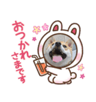 我が家みかんと時々長男(クレバー)（個別スタンプ：21）