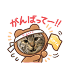 KOTA。（個別スタンプ：3）