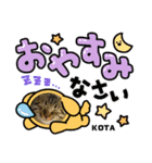 KOTA。（個別スタンプ：4）