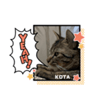 KOTA。（個別スタンプ：6）