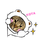 KOTA。（個別スタンプ：8）