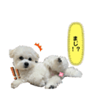 モカとララです（個別スタンプ：1）