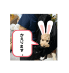 モカとララです（個別スタンプ：5）