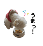 モカとララです（個別スタンプ：7）