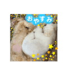モカとララです（個別スタンプ：8）