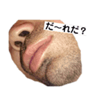 リアルいわけん（個別スタンプ：12）