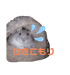 いまの気持ち。（個別スタンプ：7）