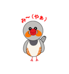 キンカチョウ (錦華鳥) スタンプ（個別スタンプ：1）