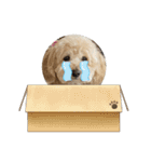 mocalala（個別スタンプ：16）