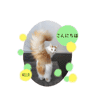 猫のかりん【日常編】（個別スタンプ：2）