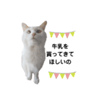 猫のかりん【日常編】（個別スタンプ：28）