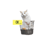猫のかりん【日常編】（個別スタンプ：35）