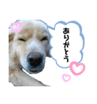 ヒロ_stamp（個別スタンプ：1）