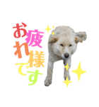 ヒロ_stamp（個別スタンプ：2）