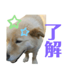 ヒロ_stamp（個別スタンプ：4）