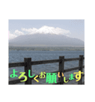ヒロ_stamp（個別スタンプ：8）