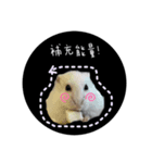 三匹の鼠と一匹の猫（個別スタンプ：3）