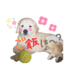 KIDくんスタンプ第二弾！（個別スタンプ：1）