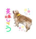 KIDくんスタンプ第二弾！（個別スタンプ：2）