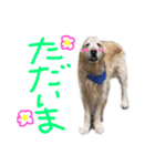 KIDくんスタンプ第二弾！（個別スタンプ：10）