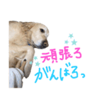 KIDくんスタンプ第二弾！（個別スタンプ：11）
