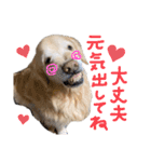 KIDくんスタンプ第二弾！（個別スタンプ：12）