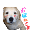 KIDくんスタンプ第二弾！（個別スタンプ：13）