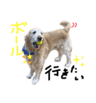 KIDくんスタンプ第二弾！（個別スタンプ：16）
