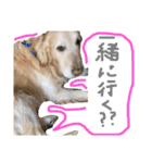 KIDくんスタンプ第二弾！（個別スタンプ：18）
