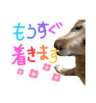 KIDくんスタンプ第二弾！（個別スタンプ：19）