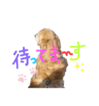KIDくんスタンプ第二弾！（個別スタンプ：20）