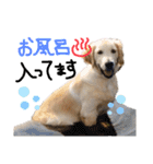 KIDくんスタンプ第二弾！（個別スタンプ：28）