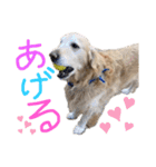 KIDくんスタンプ第二弾！（個別スタンプ：31）