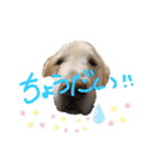 KIDくんスタンプ第二弾！（個別スタンプ：32）