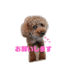 ♡コロちゃん♡（個別スタンプ：1）