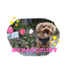 ♡コロちゃん♡（個別スタンプ：5）
