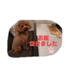 ♡コロちゃん♡（個別スタンプ：8）