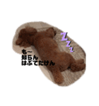 ♡コロちゃん♡（個別スタンプ：17）