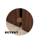 ♡コロちゃん♡（個別スタンプ：18）