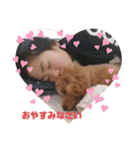 ♡コロちゃん♡（個別スタンプ：19）