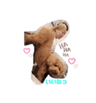 ♡コロちゃん♡（個別スタンプ：22）