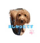♡コロちゃん♡（個別スタンプ：29）